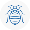 Bed Bug Extermination In Leamington Spa