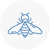 Bee Nest Removal Leamington Spa