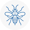 Leamington Spa Hornet Nest Removals
