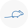 Mice Exterminators In Leamington Spa