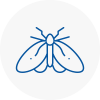 Moth Control Specialists In Leamington Spa