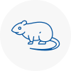 Rat Control Leamington Spa