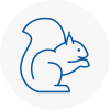 Leamington Spa Rodent Removals