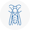 Leamington Spa Wasp Nest Removal